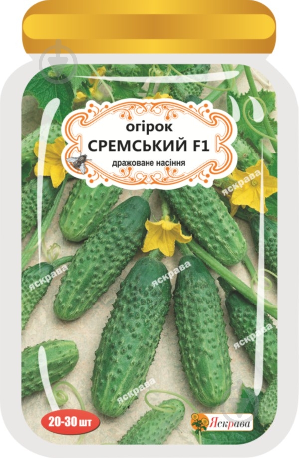Насіння Яскрава огірок Сремський F1 20-30 шт. (4823069906221) - фото 1