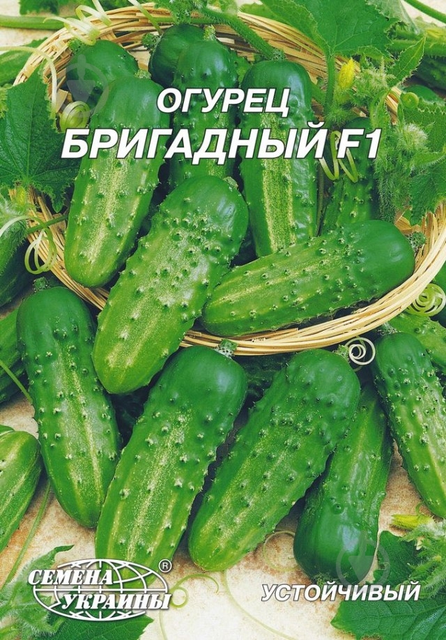 Семена огурец Бригадный F1 4 г Насіння України - фото 1 Семена огурец Бригадный F1 4 г Насіння України - фото 1