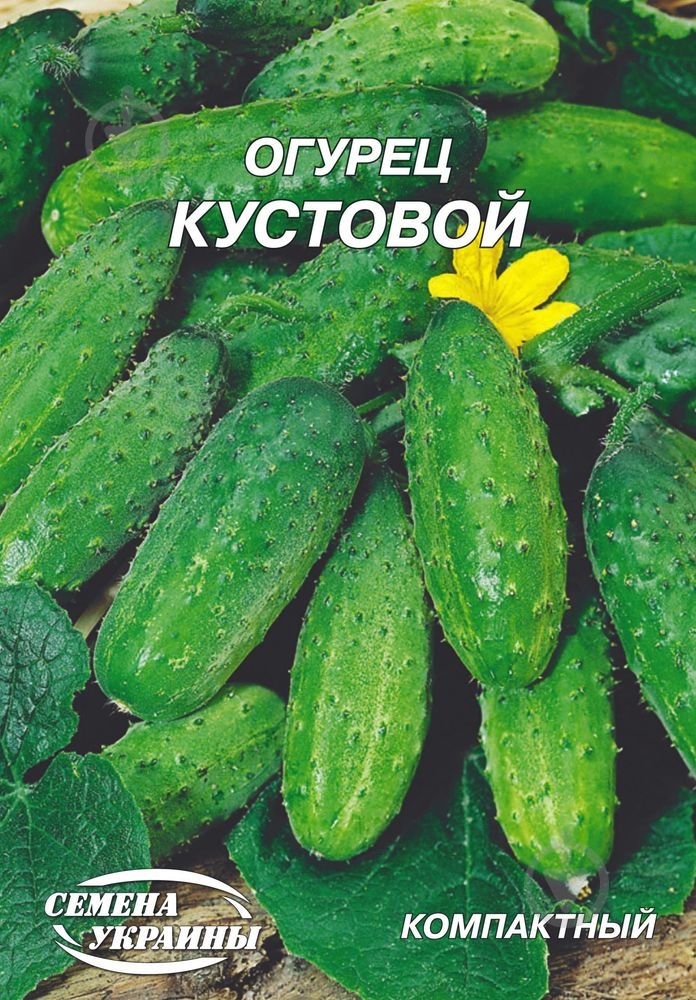 Насіння огірок Кущовий 10 г Насіння України - фото 1