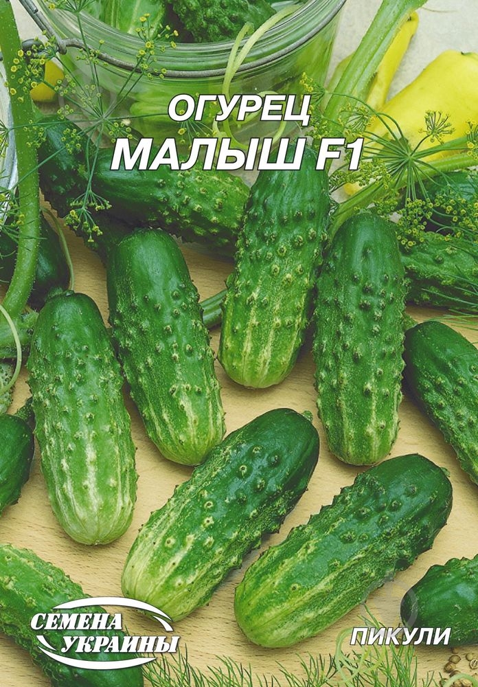 Насіння огірок Малиш F1 4 г Насіння України - фото 1