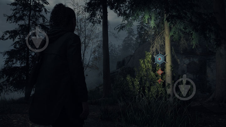 Игра Sony PS5 Alan Wake 2 Deluxe Edition (BD диск) - фото 7