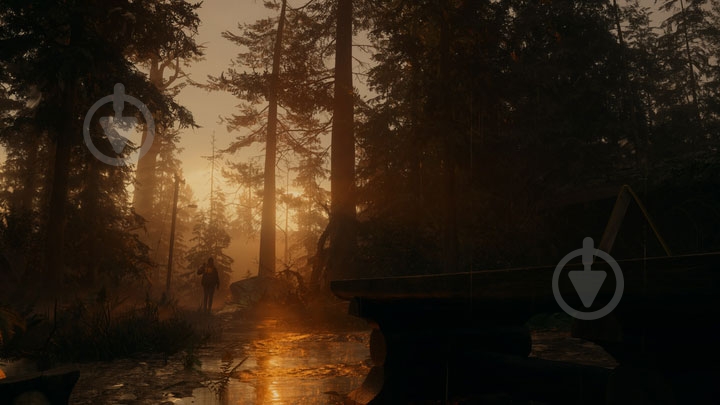 Игра Sony PS5 Alan Wake 2 Deluxe Edition (BD диск) - фото 13