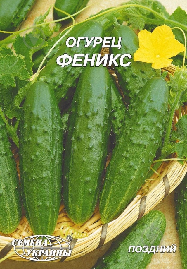 Семена огурец Феникс 10 г Насіння України - фото 1