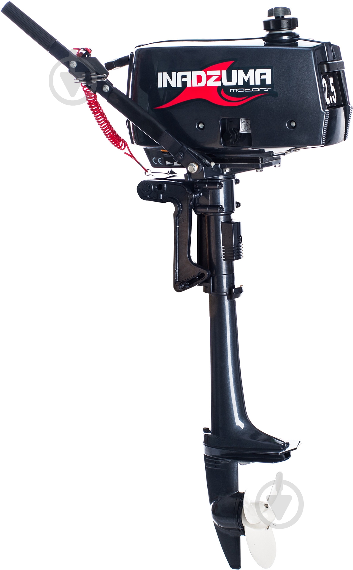 Мотор подвесной Inadzuma T2,5 BMS - фото 1