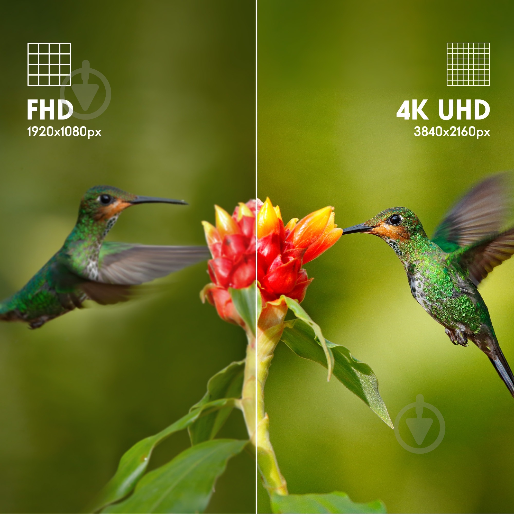 Телевізор Thomson 43UG4S14 - фото 11