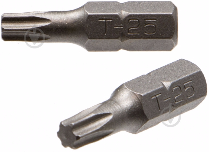 Бита Expert Fix Torx 25x25 мм 2 шт. 40114154 - фото 1