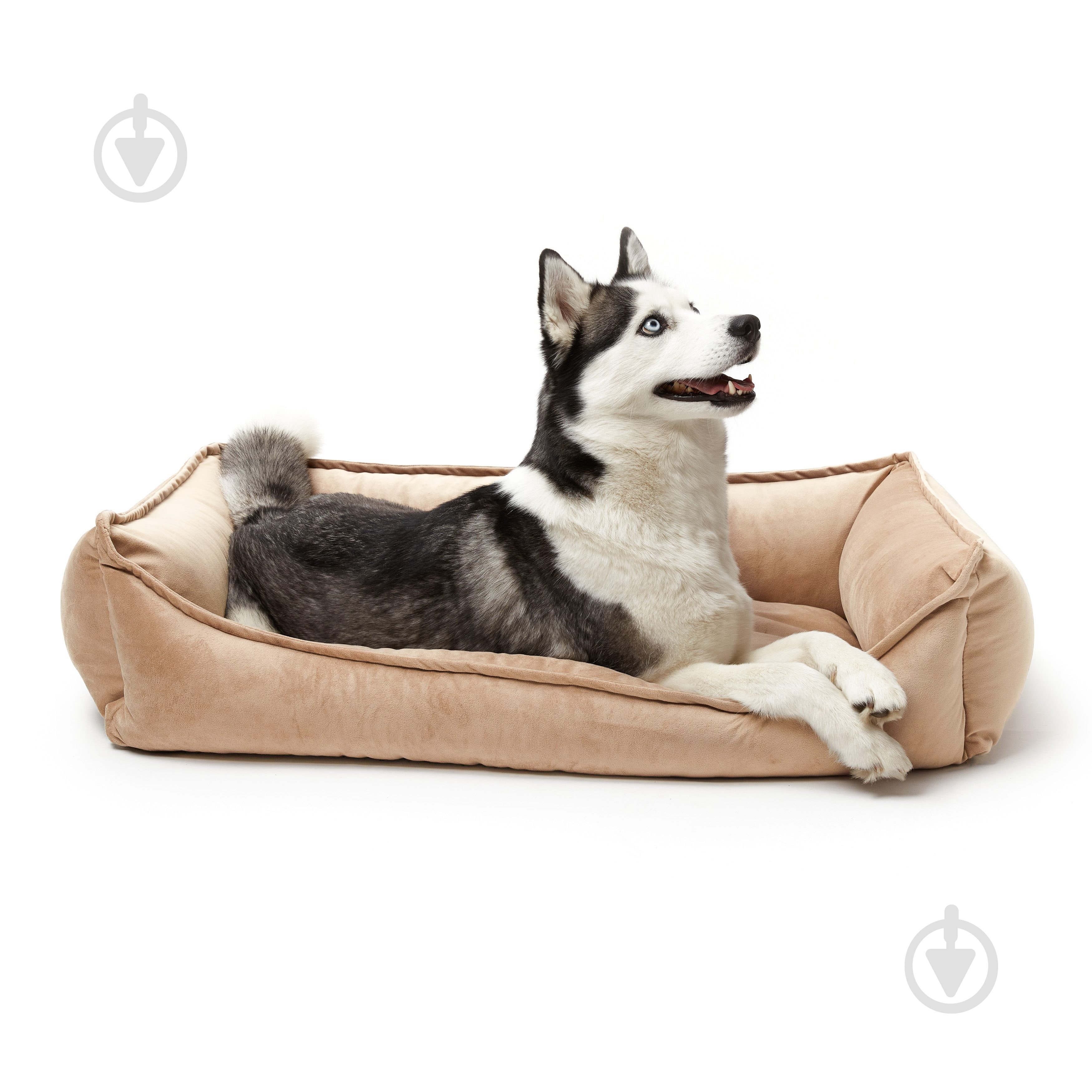 Лежак PETBED Комфорт 2XL 100х70 см h-25 см велюр бежевый - фото 4 Лежак PETBED Комфорт 2XL 100х70 см h-25 см велюр бежевый - фото 4