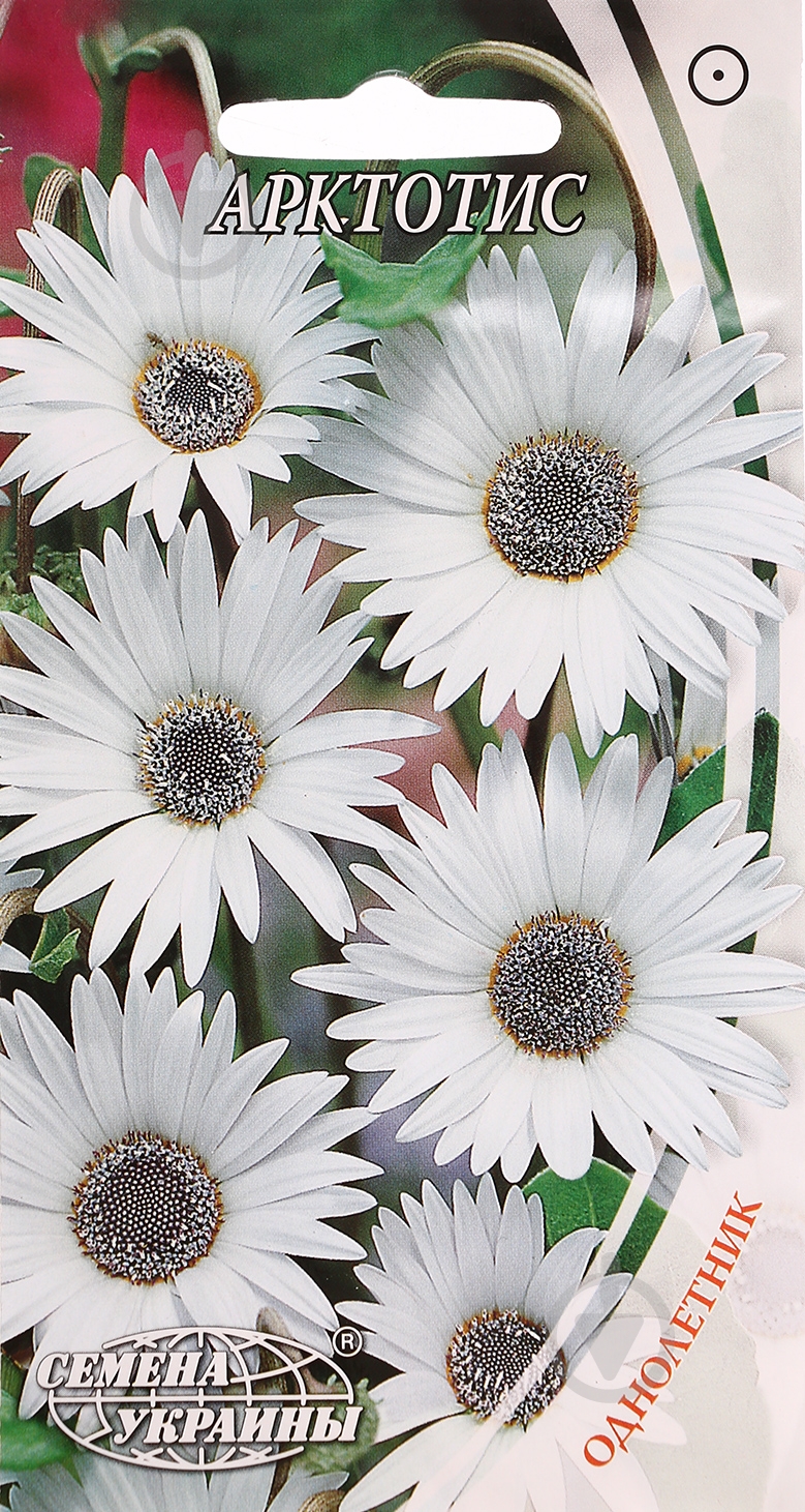 Семена Насіння України арктотис 0,2 г - фото 1 Семена Насіння України арктотис 0,2 г - фото 1