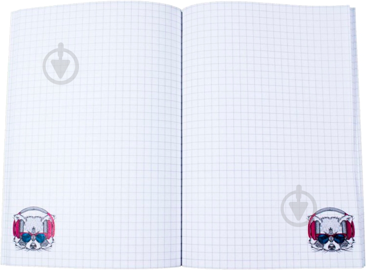 Блокнот Music note raccoon A5 Profiplan - фото 2