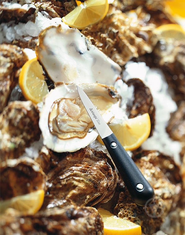 Ніж Triangle для устриць - фото 2 Ніж Triangle для устриць - фото 2