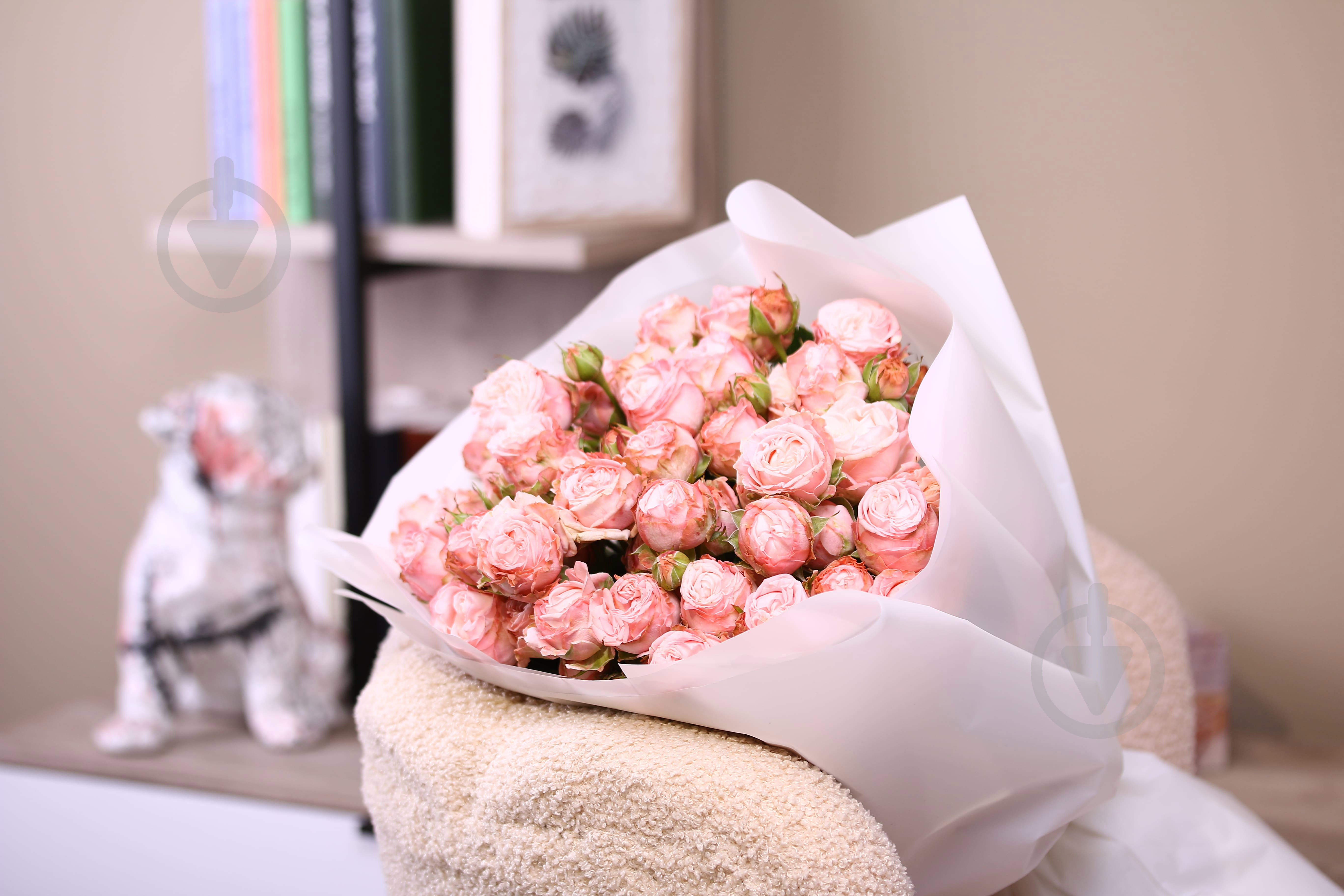 Роза Мадам Бомбастик спрей (кустовая) классическая 55 см розовая (Украина) - фото 4