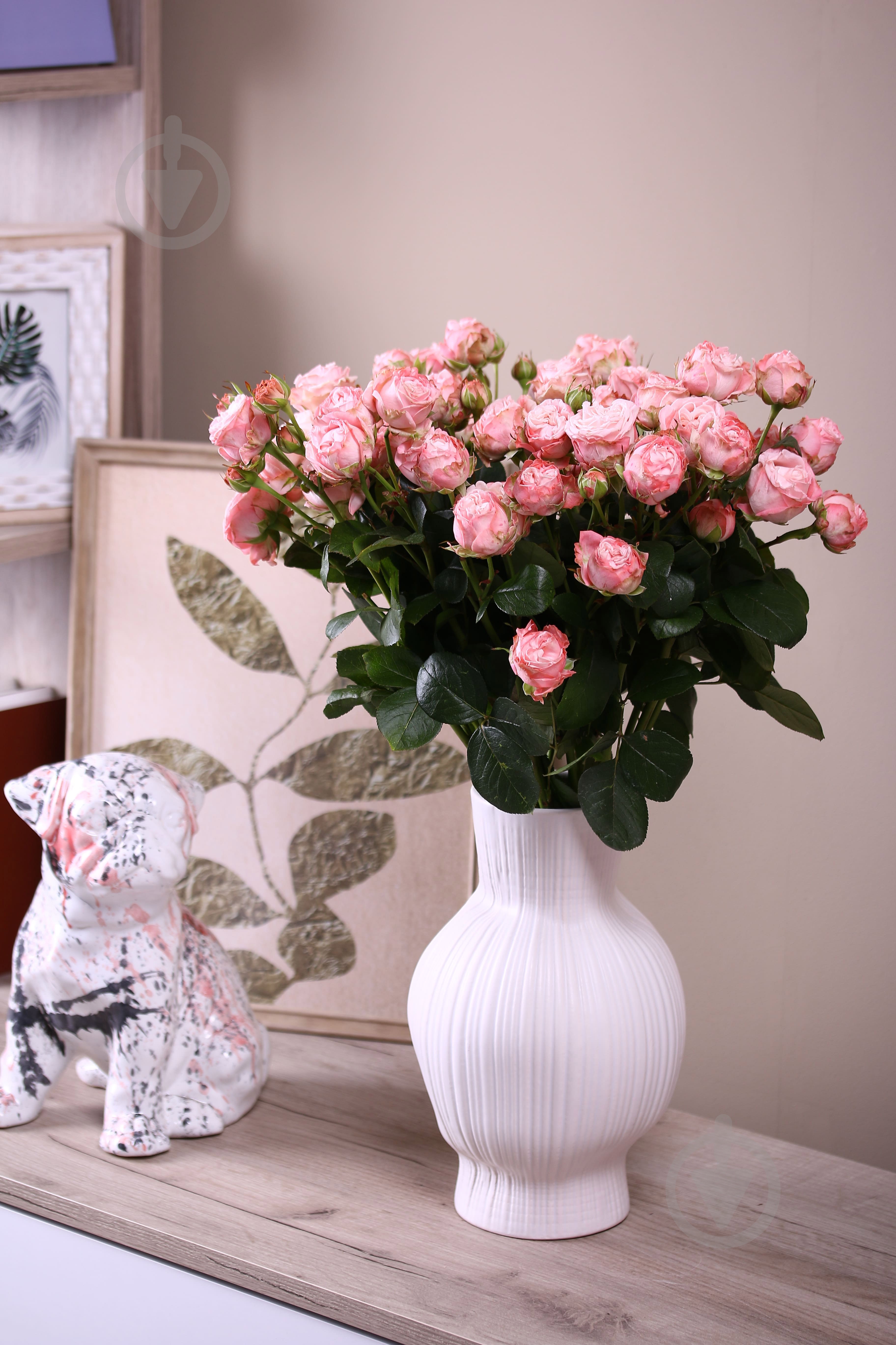 Роза Мадам Бомбастик спрей (кустовая) классическая 55 см розовая (Украина) - фото 2