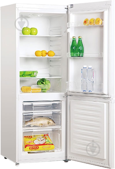 Холодильник Liberton LRD 150-206 - фото 2