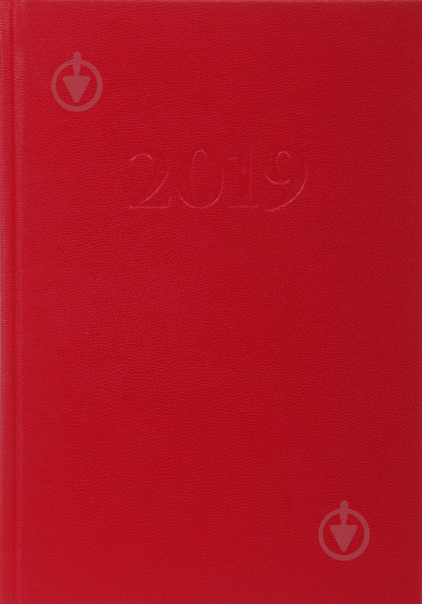 Дневник датированный красный линия UP! (Underprice) A5 2019 - фото 1 Дневник датированный красный линия UP! (Underprice) A5 2019 - фото 1