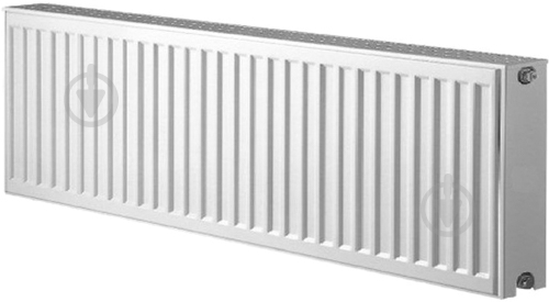 Радиатор стальной Roda 22 R 300х800 - фото 1
