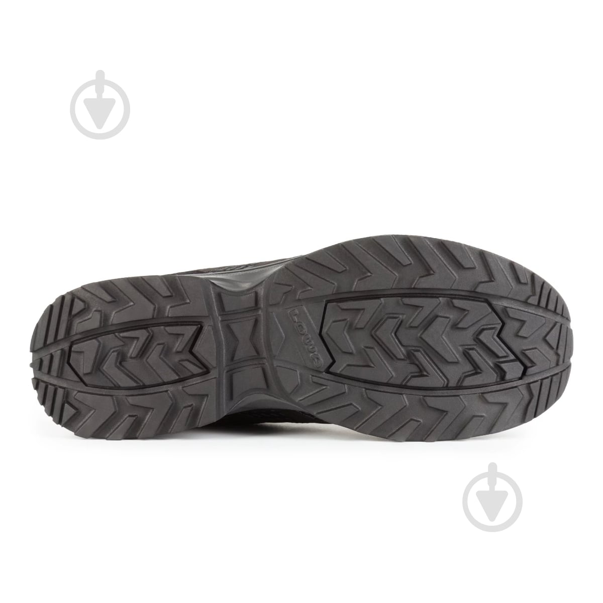 ᐉ Кросівки чоловічі демісезонні Lowa Maddox GTX LO TF 310630/0999
