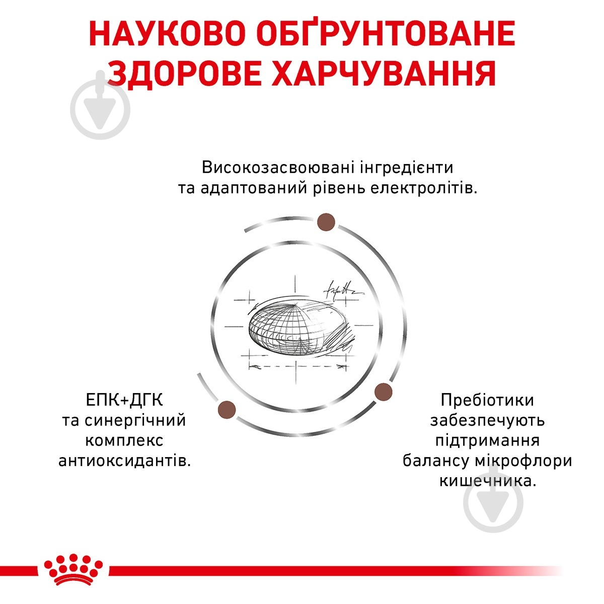 Корм сухий для котів Royal Canin Gastrointestinal Moderate Calorie + 4 пауча (11532) 2 кг - фото 3 Корм сухий для котів Royal Canin Gastrointestinal Moderate Calorie + 4 пауча (11532) 2 кг - фото 3