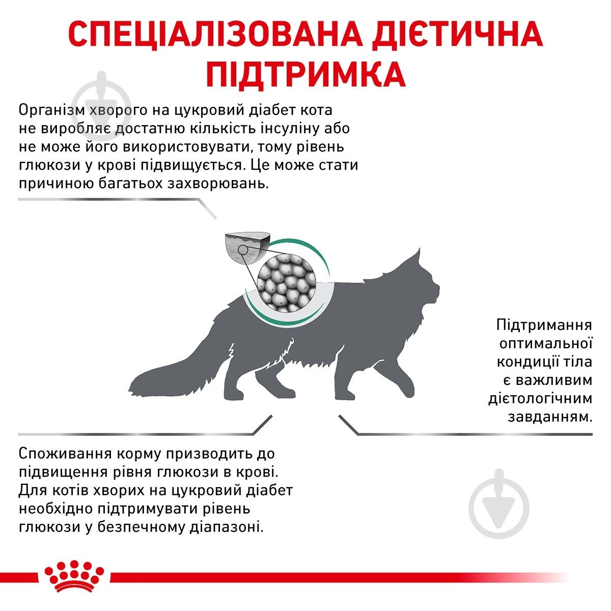 Корм сухой для котов Royal Canin Diabetic + 4 пауча (11746) 1,5 кг - фото 2