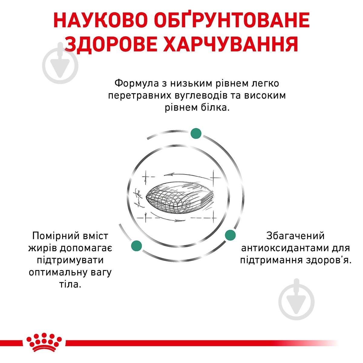 Корм сухой для котов Royal Canin Diabetic + 4 пауча (11746) 1,5 кг - фото 3