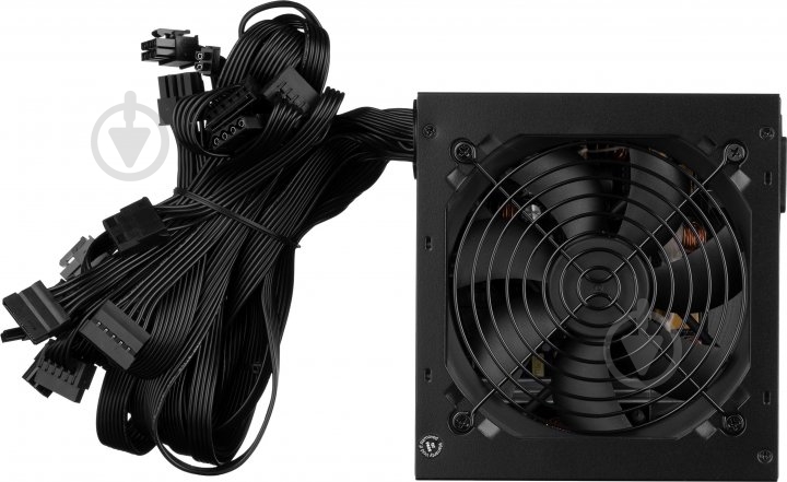 Блок питания 2E MASTER POWER 2E-MP650-120APFC 650 Вт - фото 6