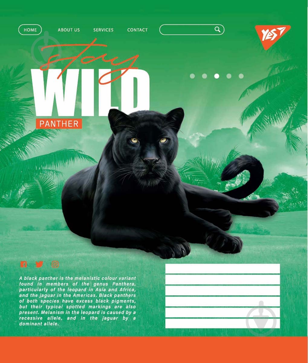 Тетрадь школьная Stay wild А5/48 в клетку YES - фото 4 Тетрадь школьная Stay wild А5/48 в клетку YES - фото 4