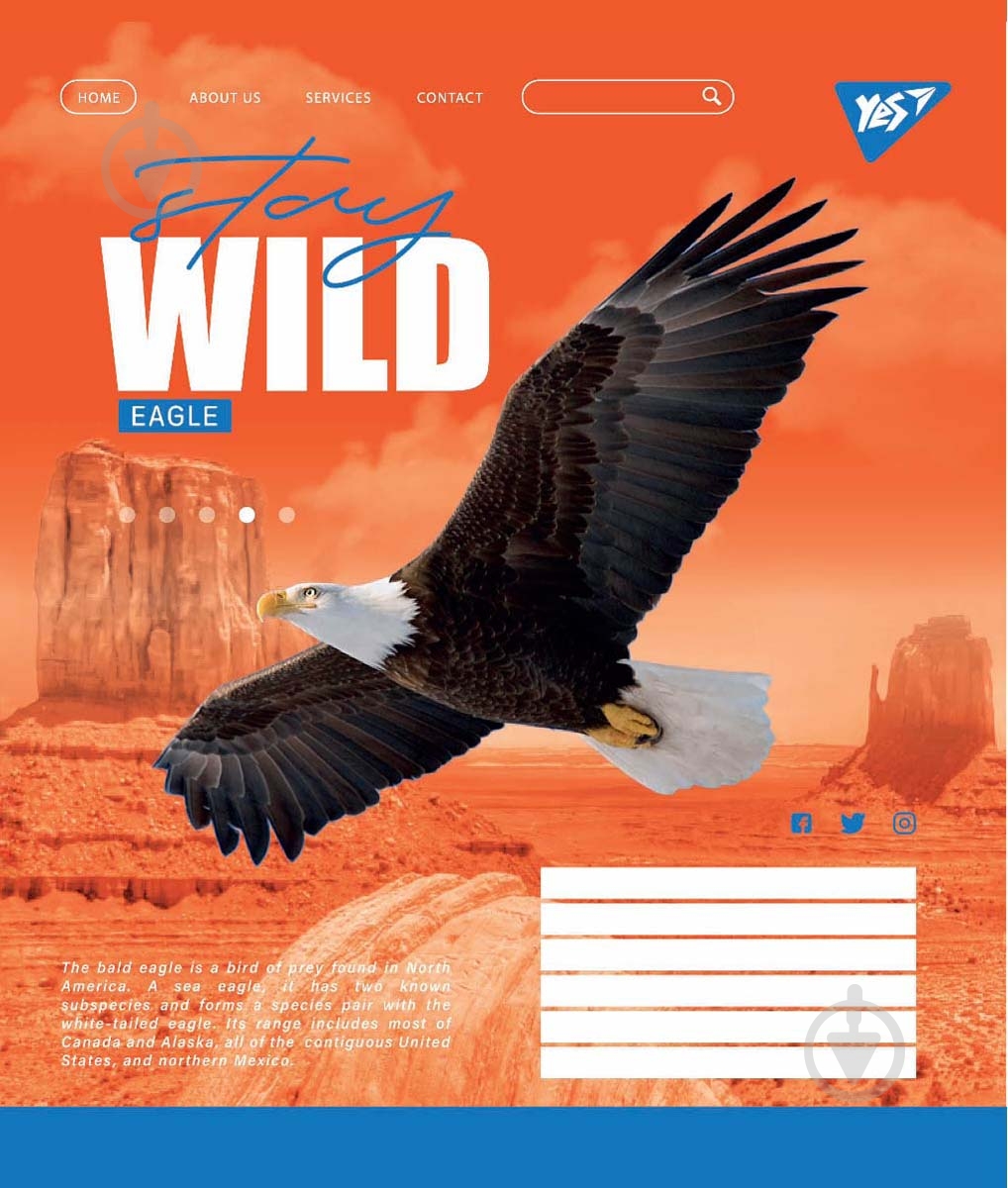 Тетрадь школьная Stay wild А5/48 в клетку YES - фото 3 Тетрадь школьная Stay wild А5/48 в клетку YES - фото 3