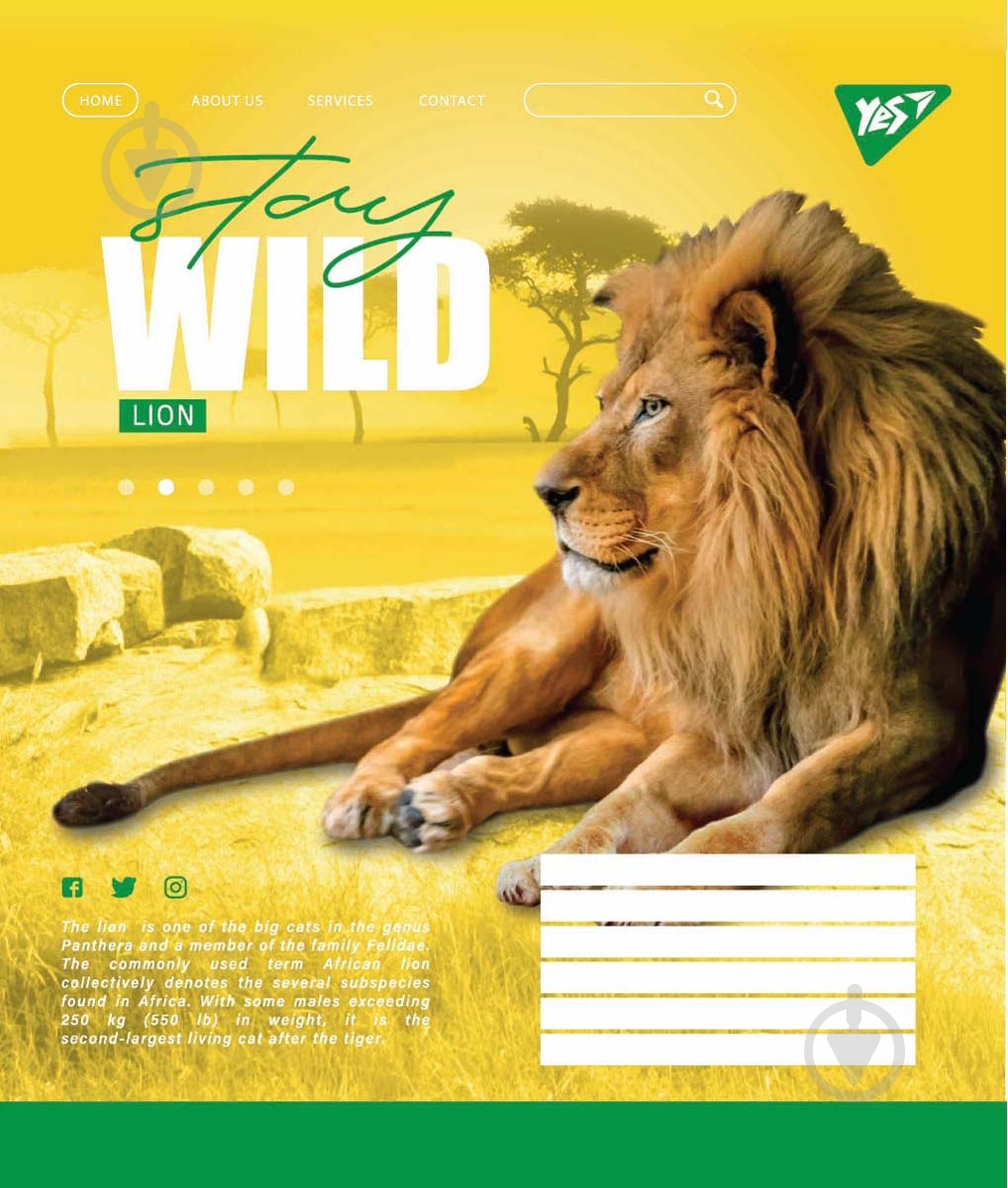 Тетрадь школьная Stay wild А5/60 в клетку YES - фото 5