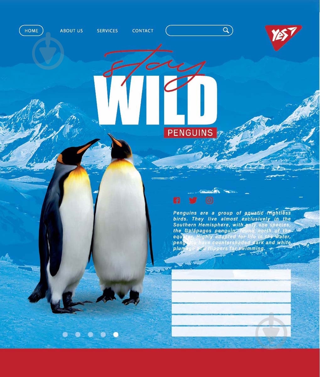 Тетрадь школьная Stay wild А5/60 в клетку YES - фото 2