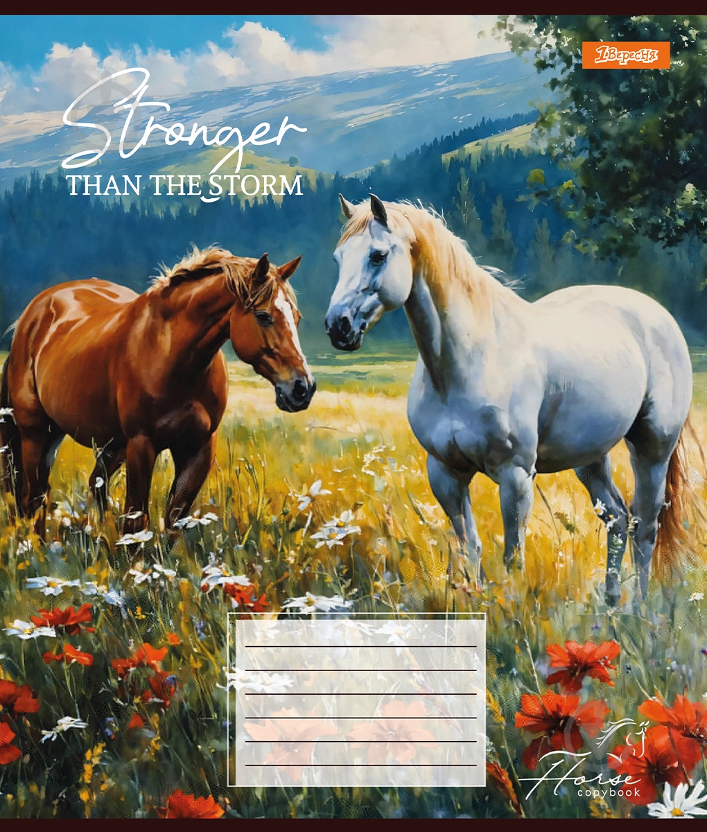 Тетрадь школьная 36 листов линия Stronger than the storm (767350) 1 вересня - фото 3 Тетрадь школьная 36 листов линия Stronger than the storm (767350) 1 вересня - фото 3