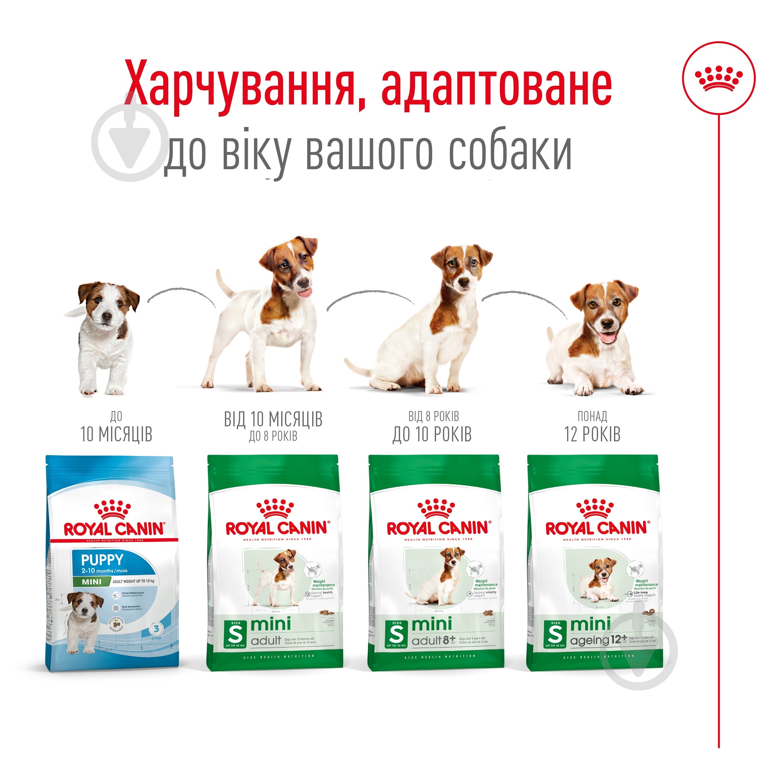Корм сухий Royal Canin MINI ADULT 8+ 2 кг (домашня птиця) 2 кг - фото 3