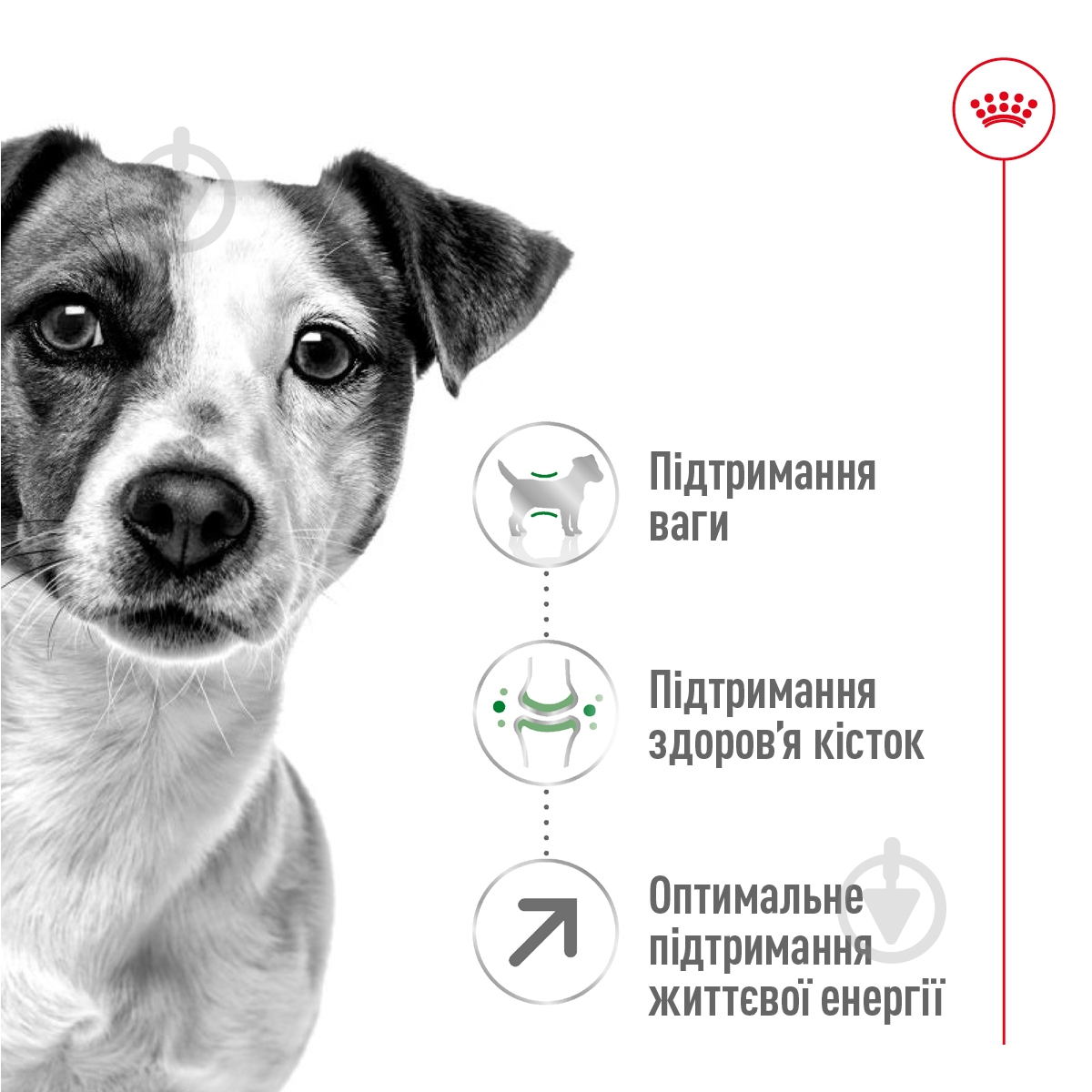 Корм сухий Royal Canin MINI ADULT 8+ 2 кг (домашня птиця) 2 кг - фото 5