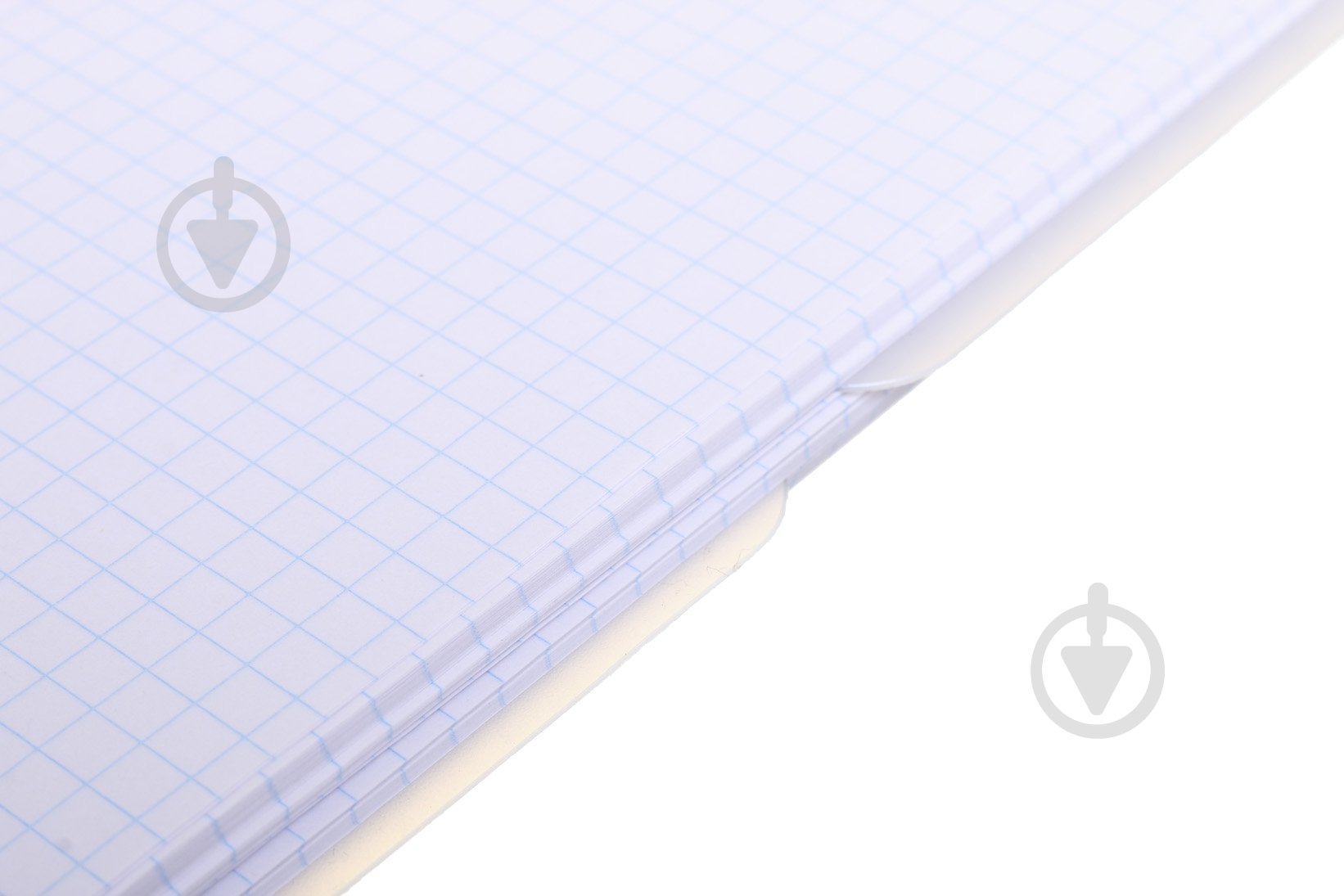 Тетрадь школьная Цветы А5 108 листов в клеточку - фото 14 Тетрадь школьная Цветы А5 108 листов в клеточку - фото 14