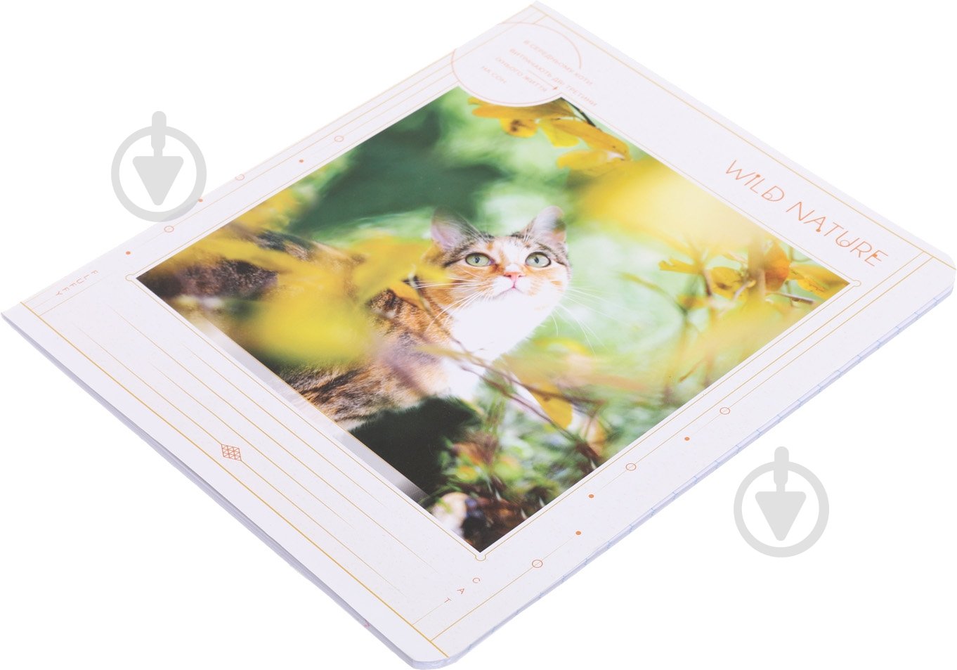 Тетрадь школьная 24 листа в линию УФ-лак в ассортименте - фото 19