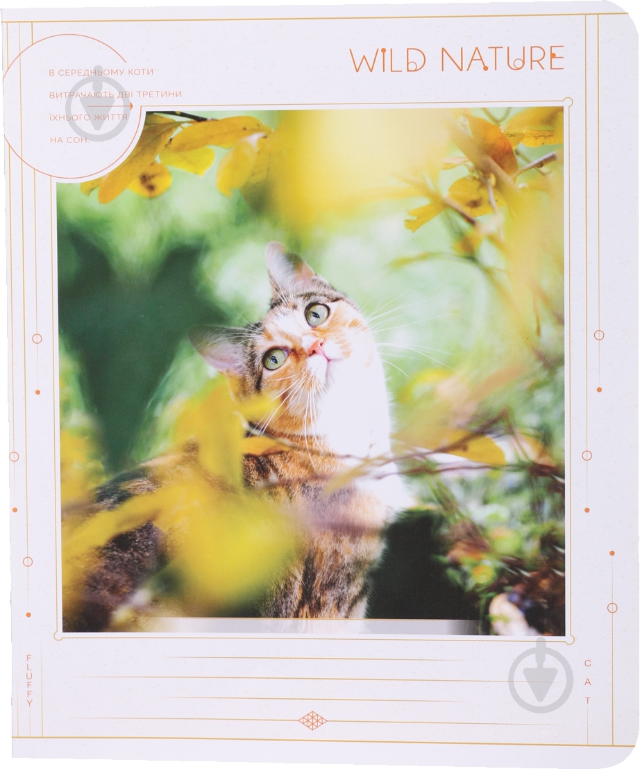 Тетрадь школьная 24 листа в линию УФ-лак в ассортименте - фото 4