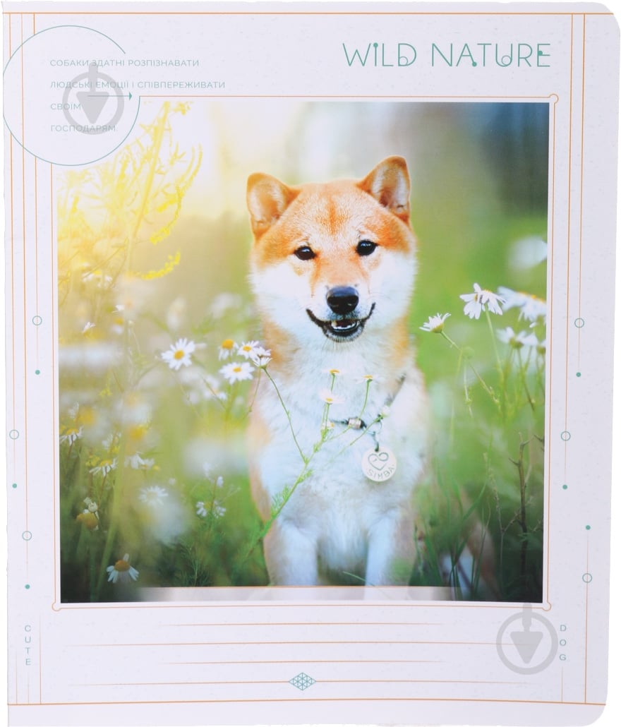 Тетрадь школьная 24 листа в линию УФ-лак в ассортименте - фото 5