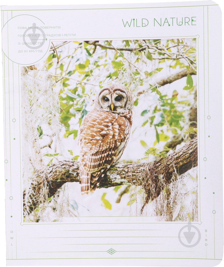 Тетрадь школьная 24 листа в линию УФ-лак в ассортименте - фото 6