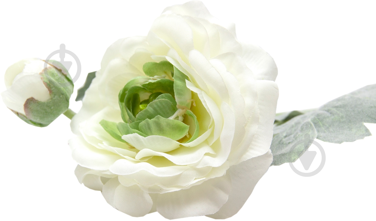 Растение декоративное Лютик 35 см белый Девилон - фото 2