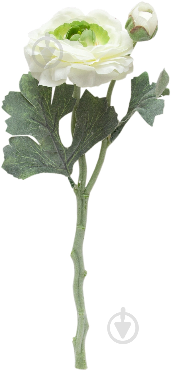 Растение декоративное Лютик 35 см белый Девилон - фото 1