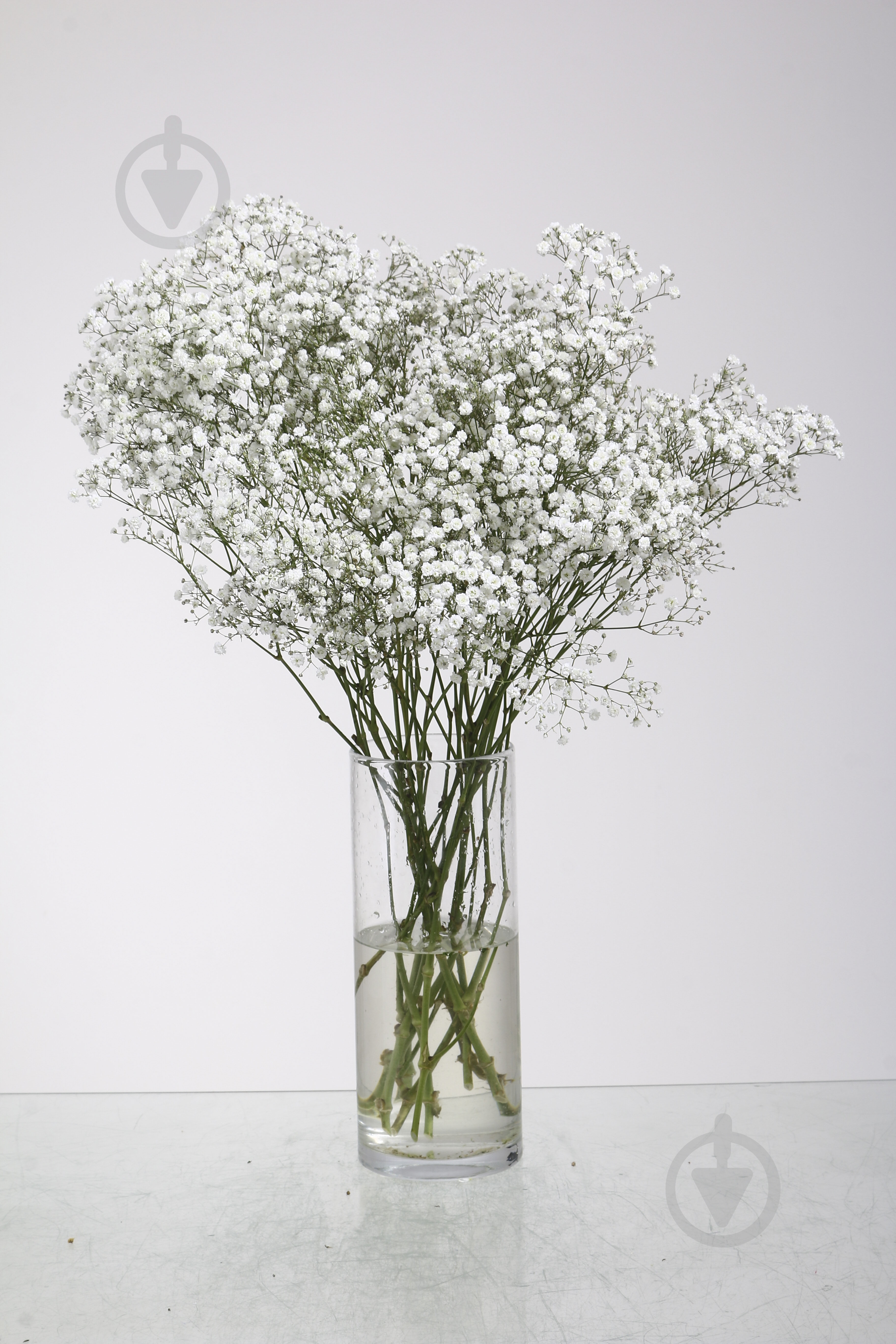 Гипсофила Extra пучок белая (Эквадор) - фото 1