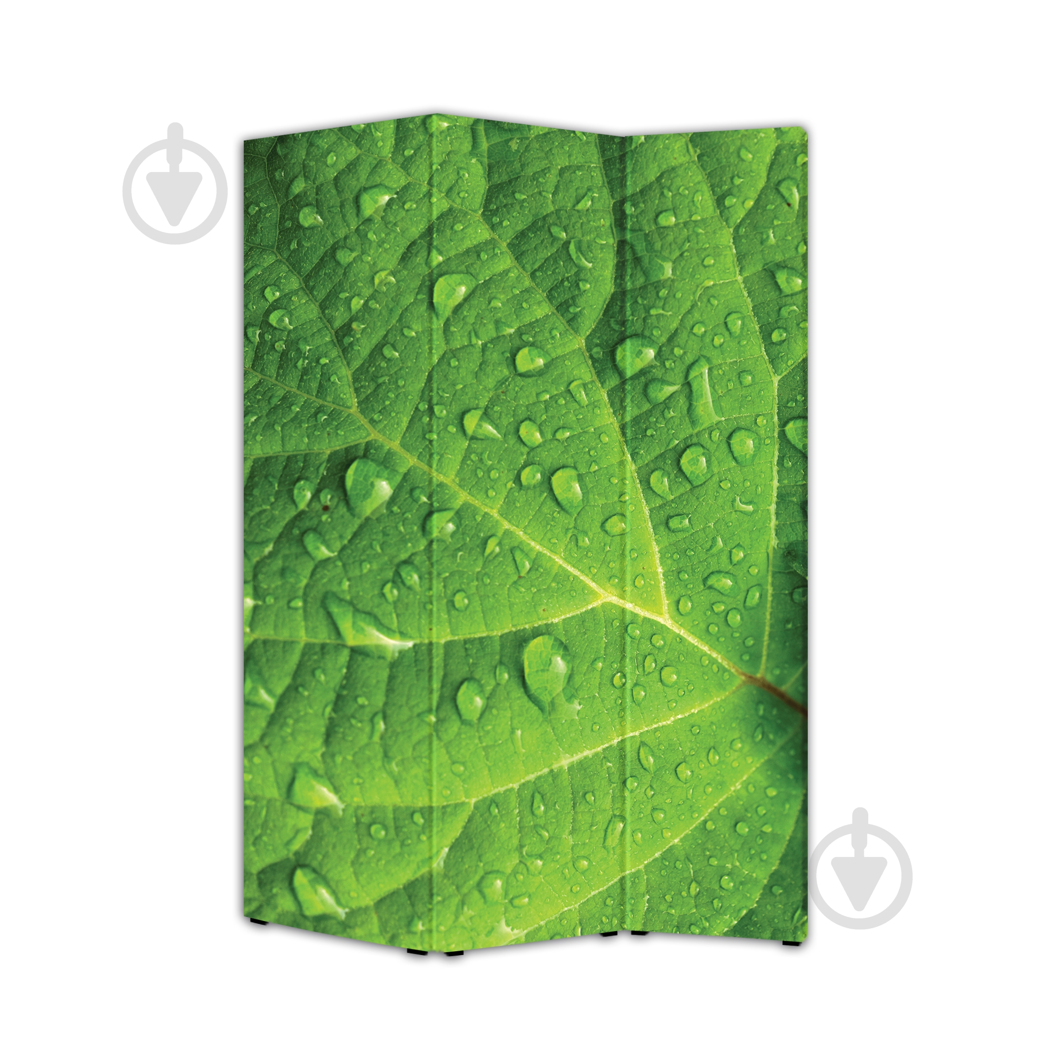 Ширма Теамо Листья 1750x1180x20 мм разноцветный - фото 2