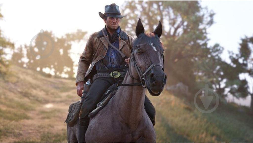 Игра Xbox Red Dead Redemption 2 (Xbox One, Russian subtitles) - фото 4 Игра Xbox Red Dead Redemption 2 (Xbox One, Russian subtitles) - фото 4