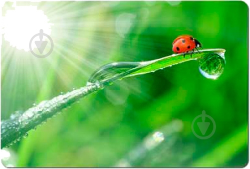 Коврик для мышки Esperanza (EA133) - фото 1