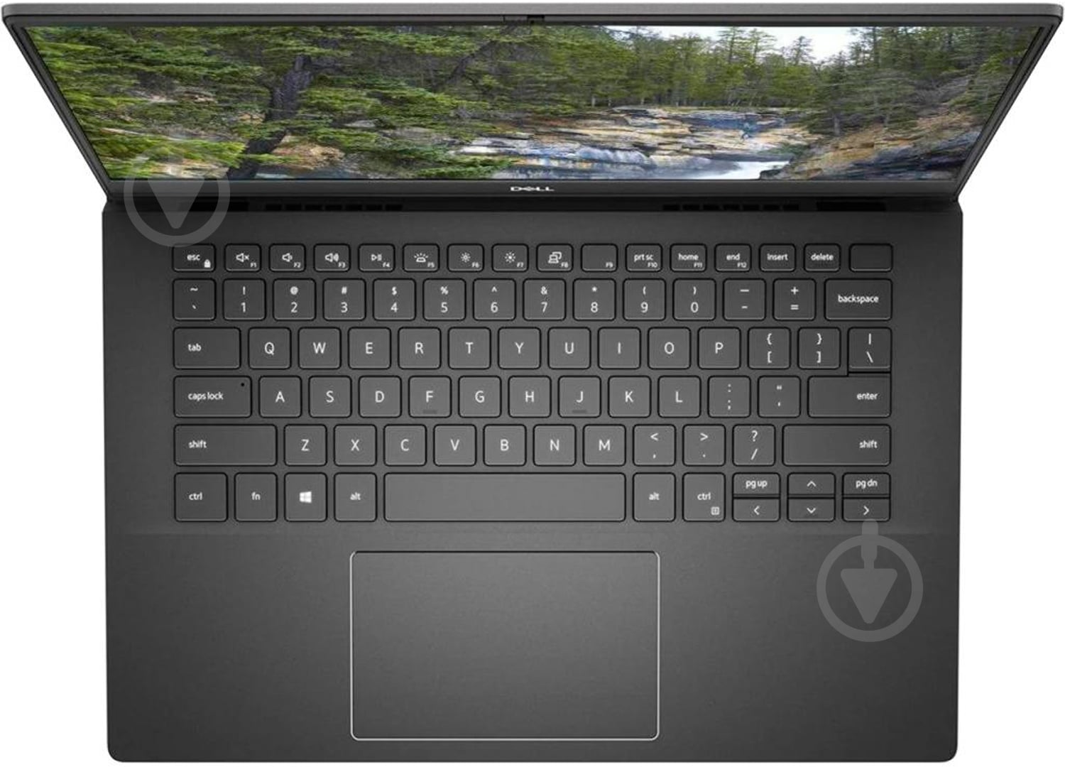 Ноутбук Dell LATITUDE 5402 14 (N3003VN5402ERC_UBU) grey - фото 4