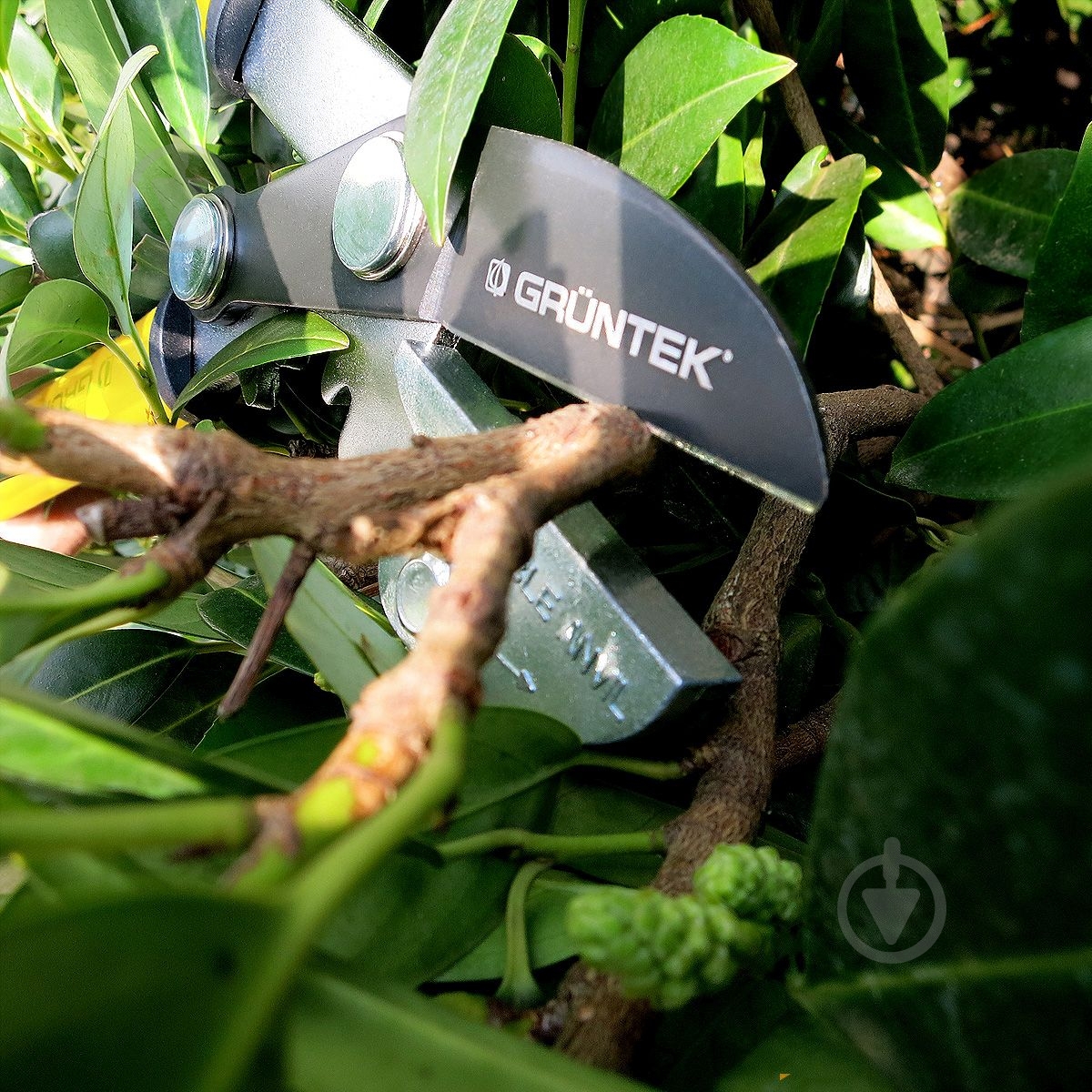 Сучкорез Gruntek Grizzly - фото 6 Сучкорез Gruntek Grizzly - фото 6