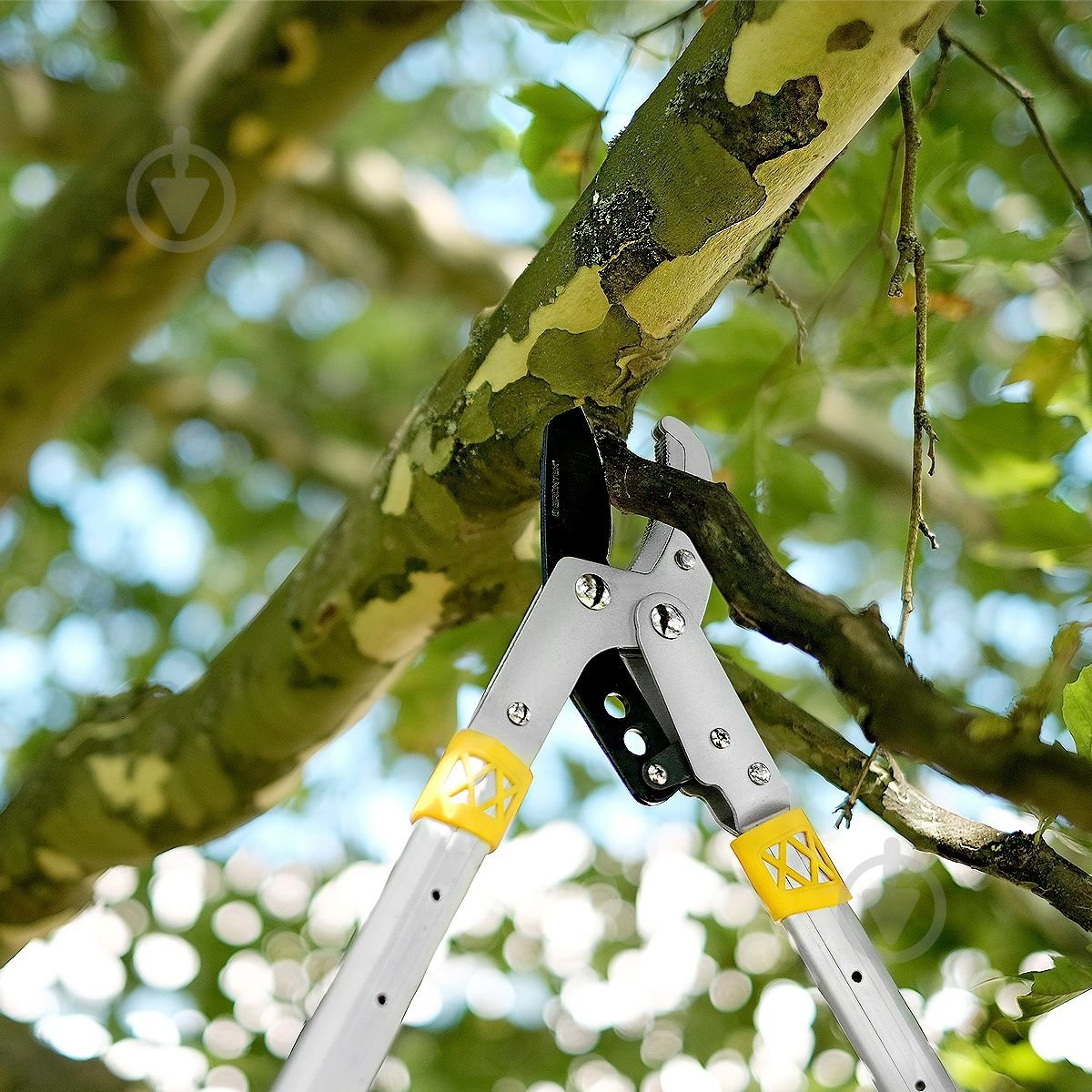 Сучкорез Gruntek XT27-40 Premium - фото 6 Сучкорез Gruntek XT27-40 Premium - фото 6