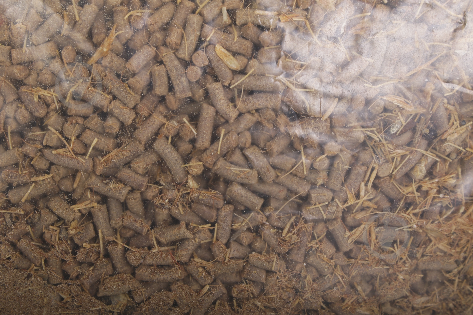 Корм Скалярія для подкормки "Для рыбаков" (рыбные субпродукты) - фото 2