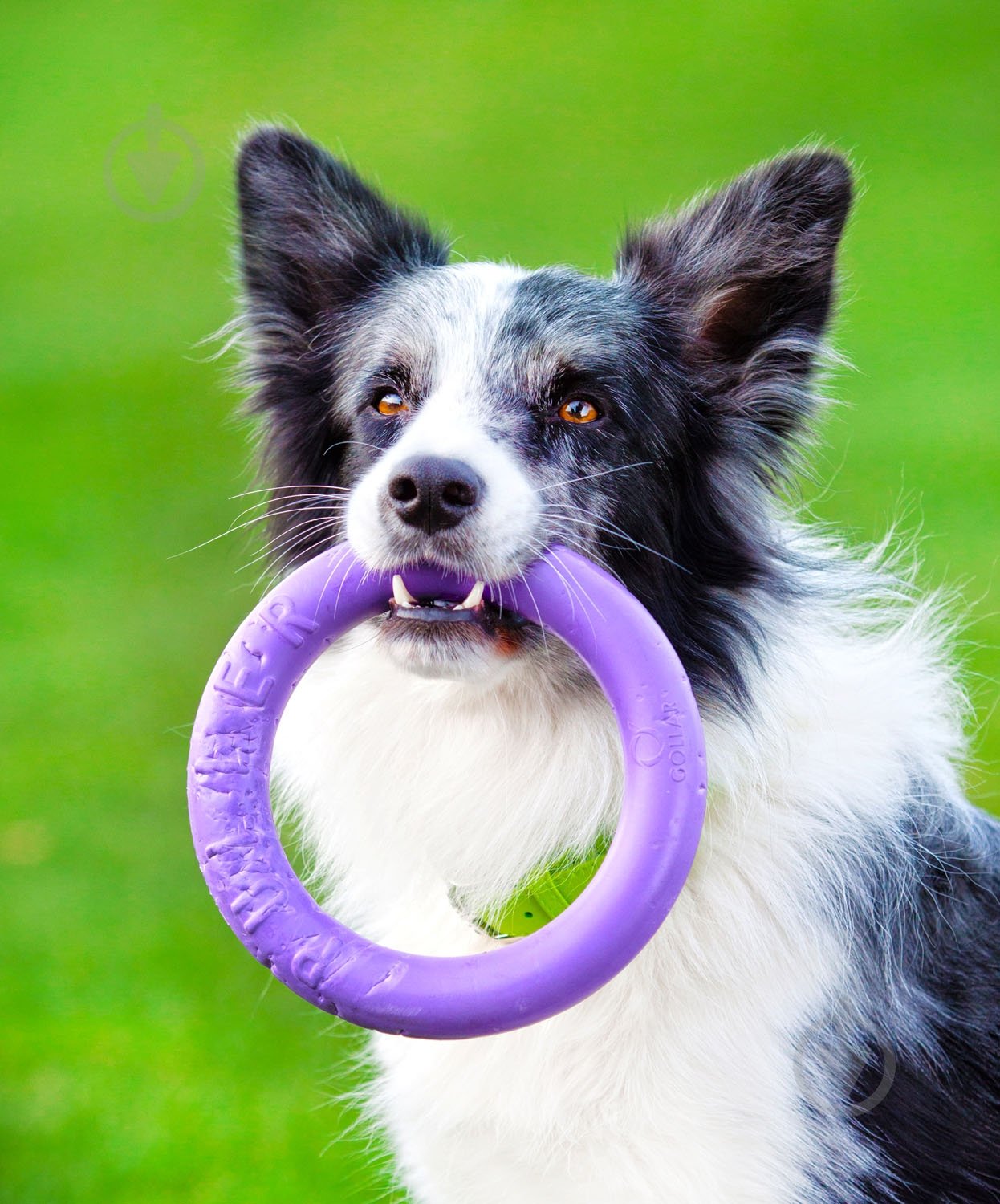 Снаряд тренувальний Puller Midi для собак 20 см - фото 7