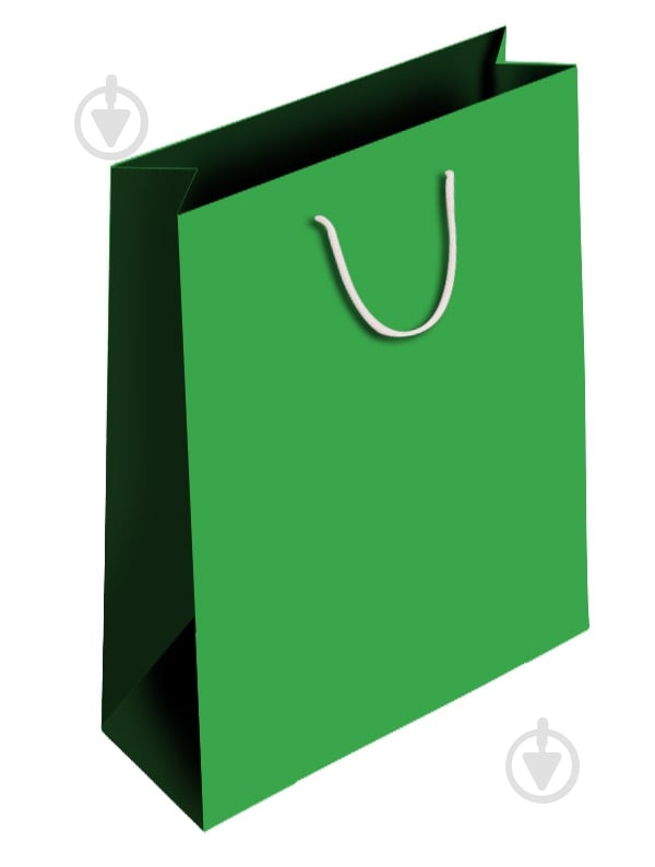 Пакет бумажный 400x300x170 мм нефритовый PBS - фото 1 Пакет бумажный 400x300x170 мм нефритовый PBS - фото 1