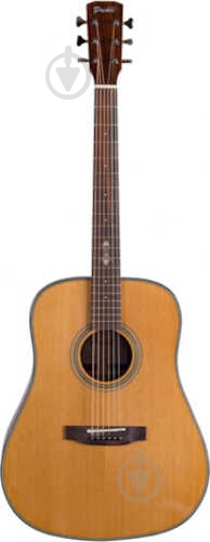 Гитара акустическая Prima DSAG219 Acoustic Guitar - фото 1