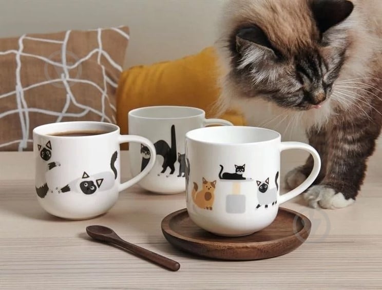 Чашка ASA Удивленные коты 400 мл 19443014 - фото 2 Чашка ASA Удивленные коты 400 мл 19443014 - фото 2